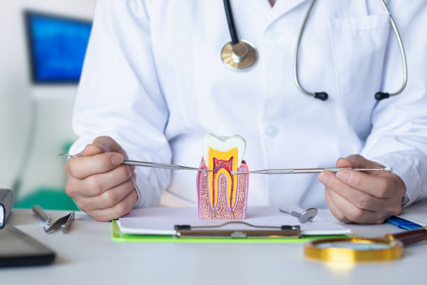 Best Emergency Wisdom Teeth Removal in Mountain Home, AR